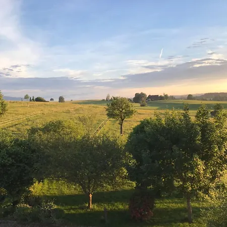 Allgaeu Meadow Ranch Hergatz