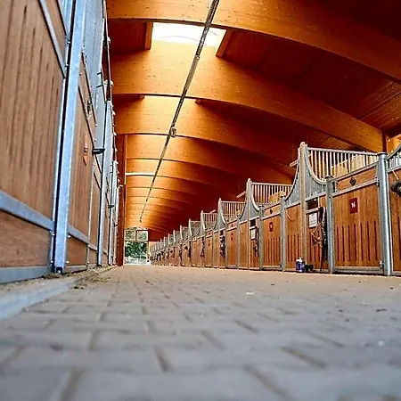 Allgaeu Meadow Ranch 2*