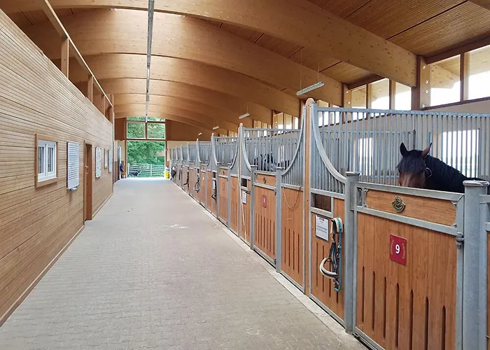 Allgaeu Meadow Ranch Hergatz