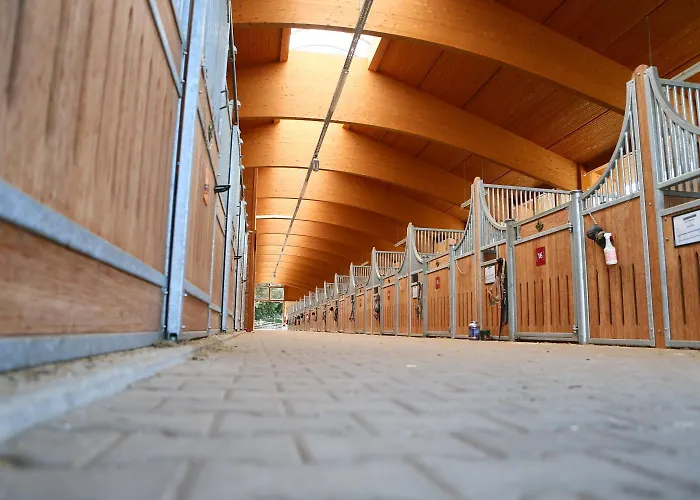Zajazd Allgaeu Meadow Ranch Hergatz